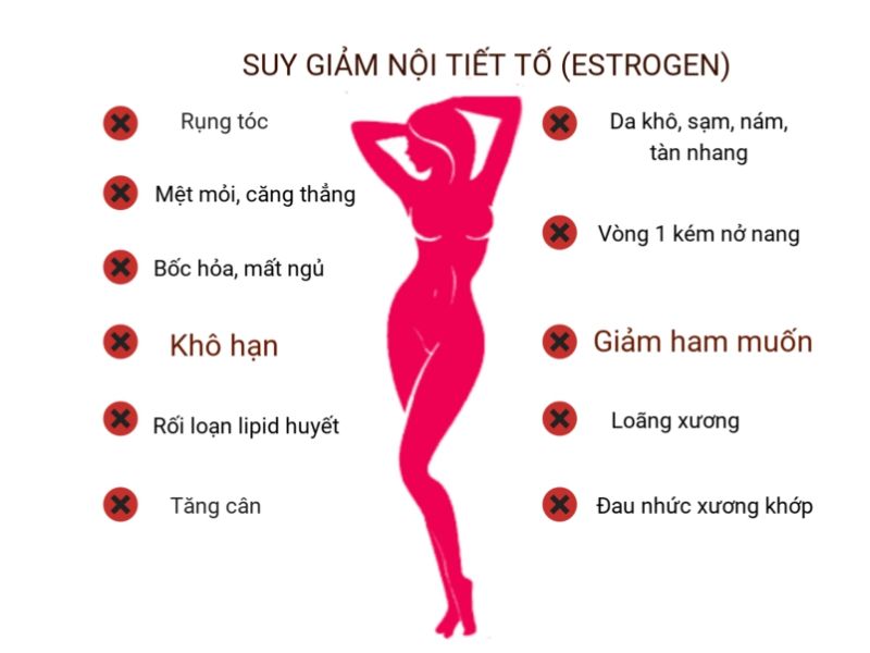 7+ Sự Thật Về Nội Tiết Tố Phụ Nữ Ai Cũng Nên Biết nội tiết tố