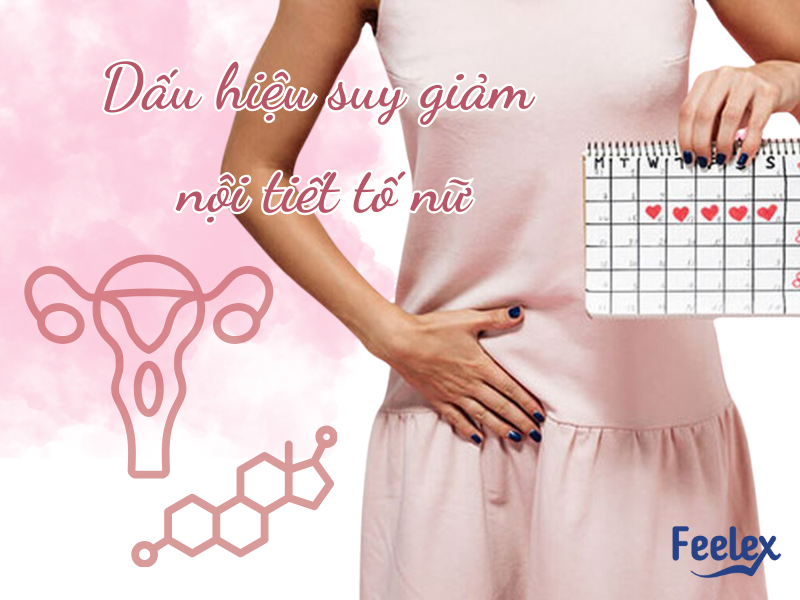 Suy Giảm Nội Tiết Tố Nữ: Nguyên Nhân, Dấu Hiệu Và Giải Pháp Toàn Diện Dấu hiệu suy giảm nội tiết tố nữ