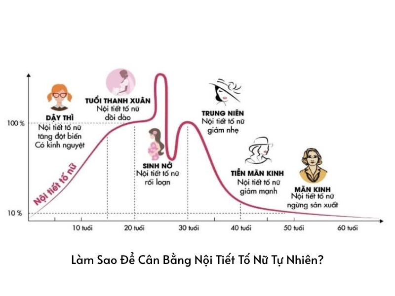 7+ Sự Thật Về Nội Tiết Tố Phụ Nữ Ai Cũng Nên Biết Lam Sao De Can Bang Noi Tiet To Nu Tu Nhien