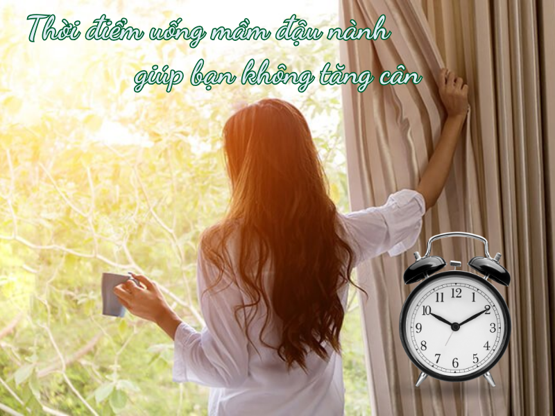 Uống mầm đậu nành có tăng cân không? Sự thật bất ngờ bạn cần biết Mầm đậu nành tăng cân