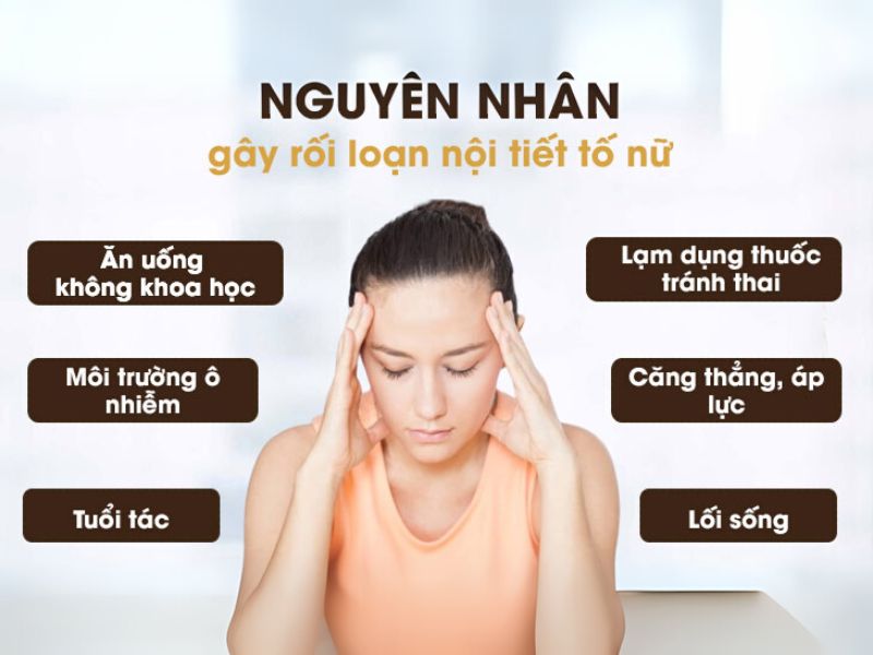 7+ Sự Thật Về Nội Tiết Tố Phụ Nữ Ai Cũng Nên Biết Nguyen Nhan Gay Mat Can Bang Noi Tiet To