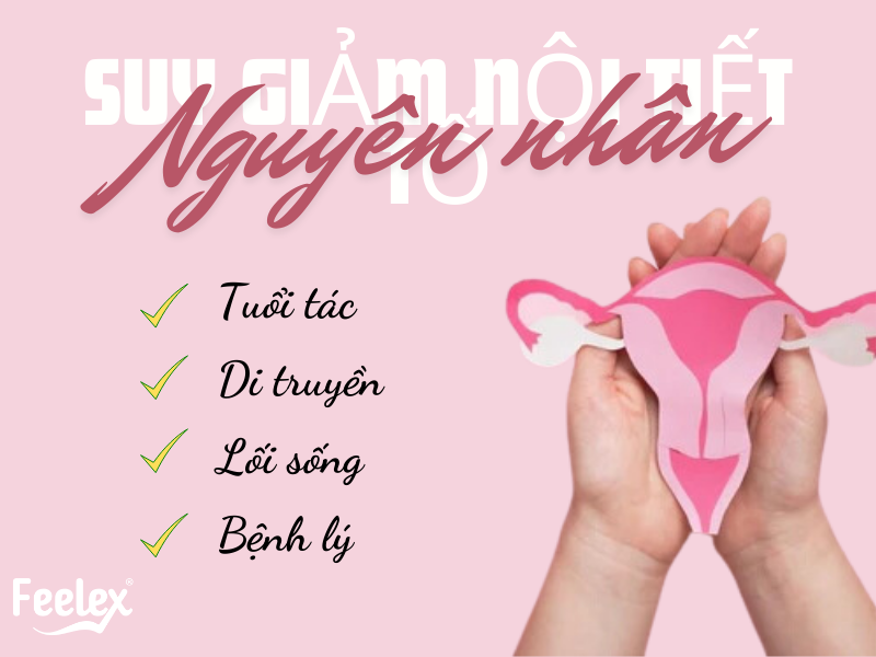 Suy Giảm Nội Tiết Tố Nữ: Nguyên Nhân, Dấu Hiệu Và Giải Pháp Toàn Diện Nguyên nhân gây suy giảm nội tiết tố nữ