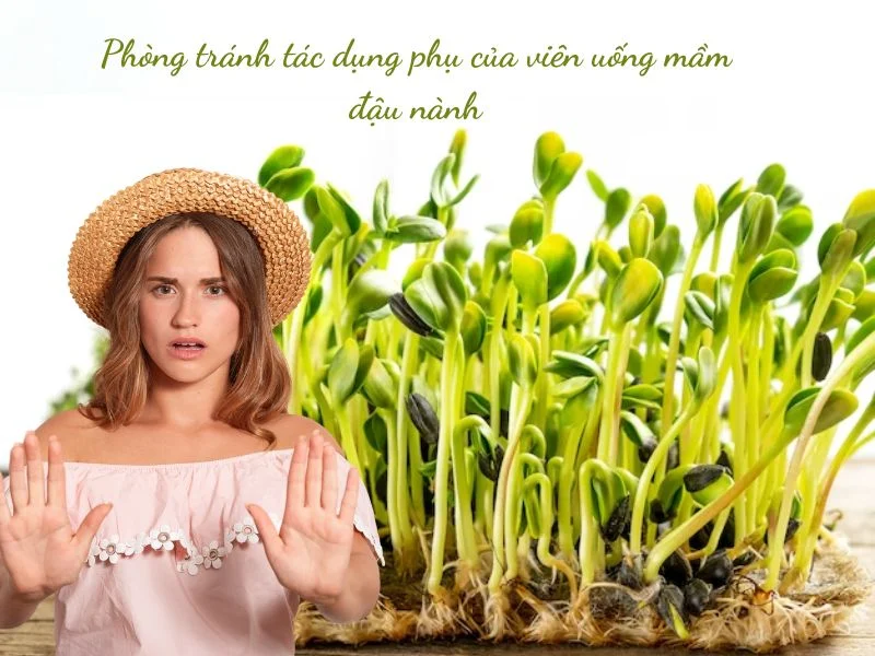 Tác dụng phụ của viên uống mầm đậu nành: Sự thật bạn cần biết mầm đậu nành tác dụng phụ