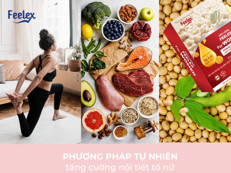 Suy Giảm Nội Tiết Tố Nữ: Nguyên Nhân, Dấu Hiệu Và Giải Pháp Toàn Diện Suy giảm nội tiết tố nữ
