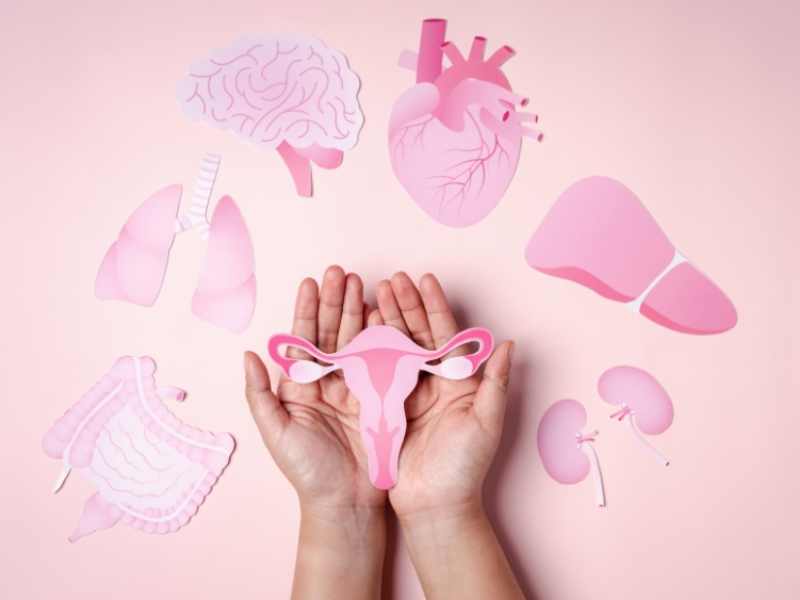 Đừng Để Thay Đổi Nội Tiết Tố Đánh Gục Bạn: Những Tác Hại Khôn Lường Tầm quan trọng của việc thay đổi nội tiết tố