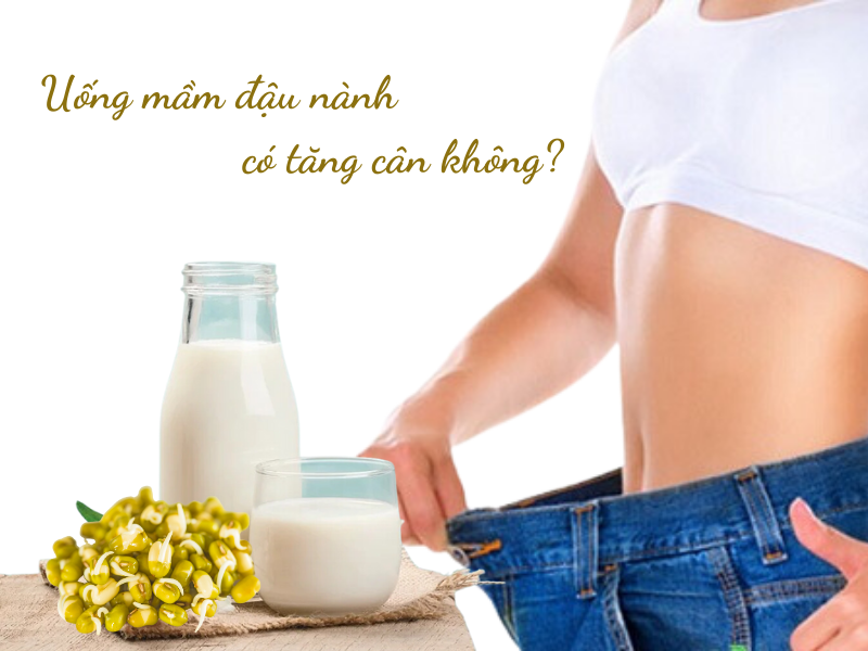 Uống mầm đậu nành có tăng cân không? Sự thật bất ngờ bạn cần biết Uống mầm đậu nành có tăng cân không