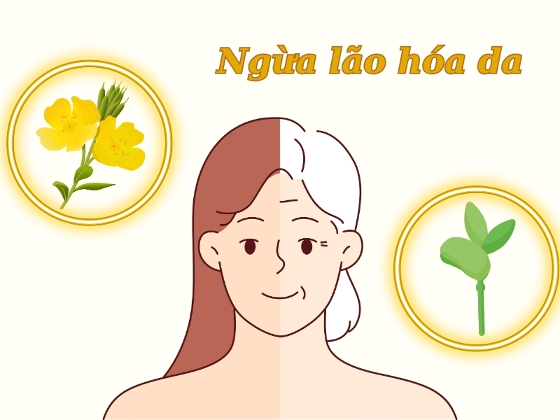 Uống Vitamin E và Mầm Đậu Nành - Cách Kết Hợp Hiệu Quả Nhất 2024 Lưu ý khi uống kết hợp vitamin E với mầm đậu nành
