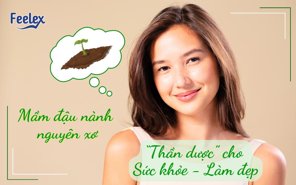 mầm đậu nành nguyên xơ