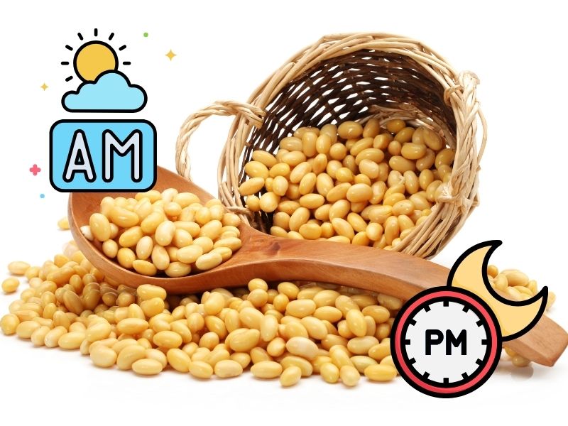 Giải Mã: Uống Mầm Đậu Nành Vào Lúc Nào Để Đạt Hiệu Quả Tối Đa? Uống mầm đậu nành vào lúc nào là tốt nhất?