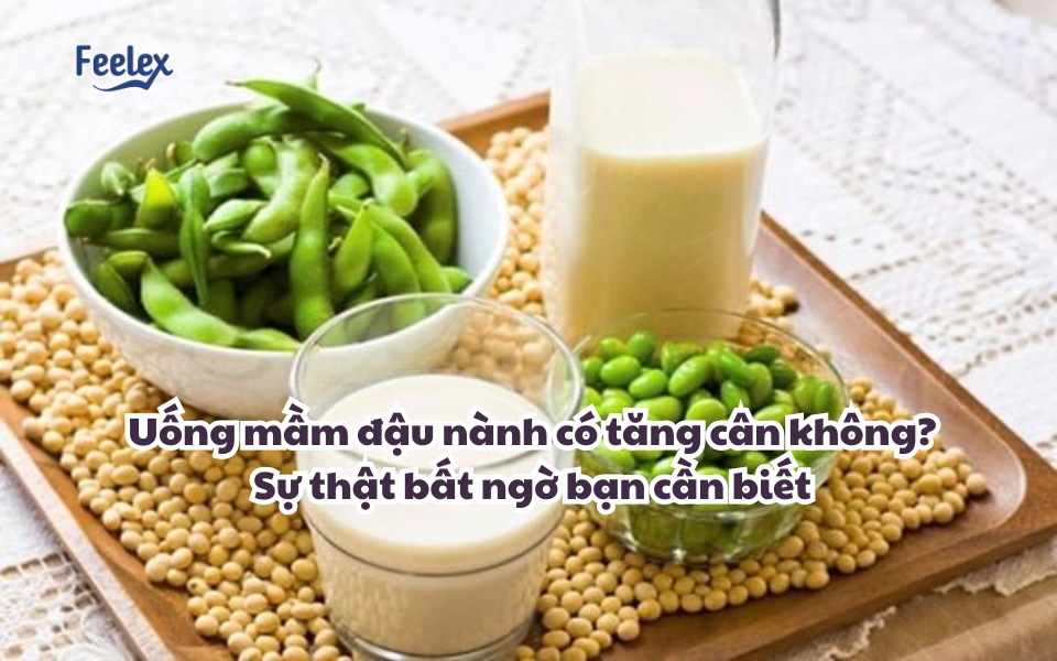 uong-mam-dau-nanh-co-tang-can-khong