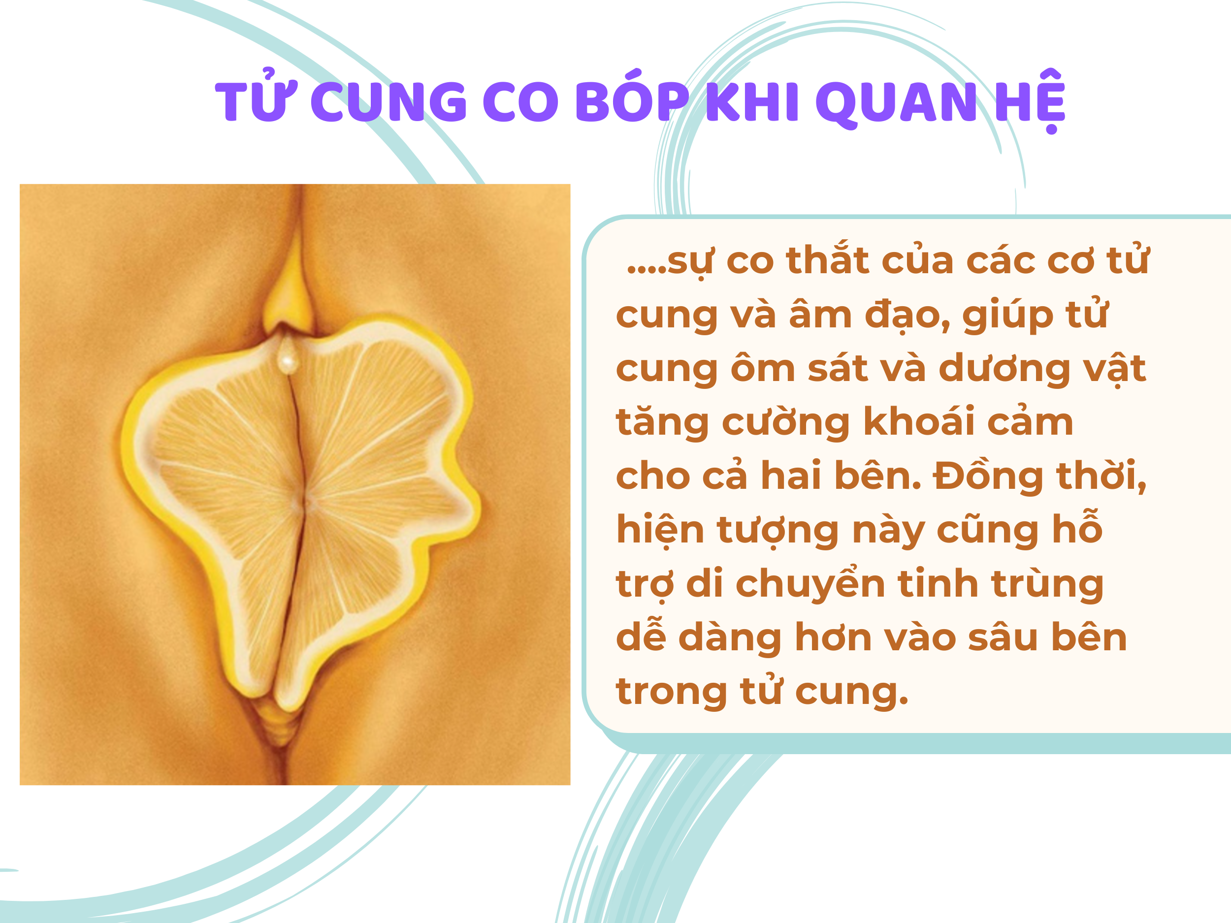 7 Cách co bóp tử cung khi quan hệ khiến "Cậu nhỏ" sướng mê Cách tăng co bóp tử cung khi quan hệ