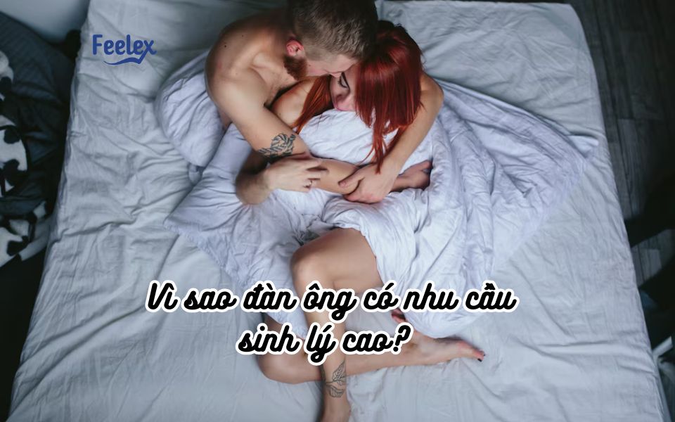 vi sao dan ong co nhu cau sinh ly cao 1