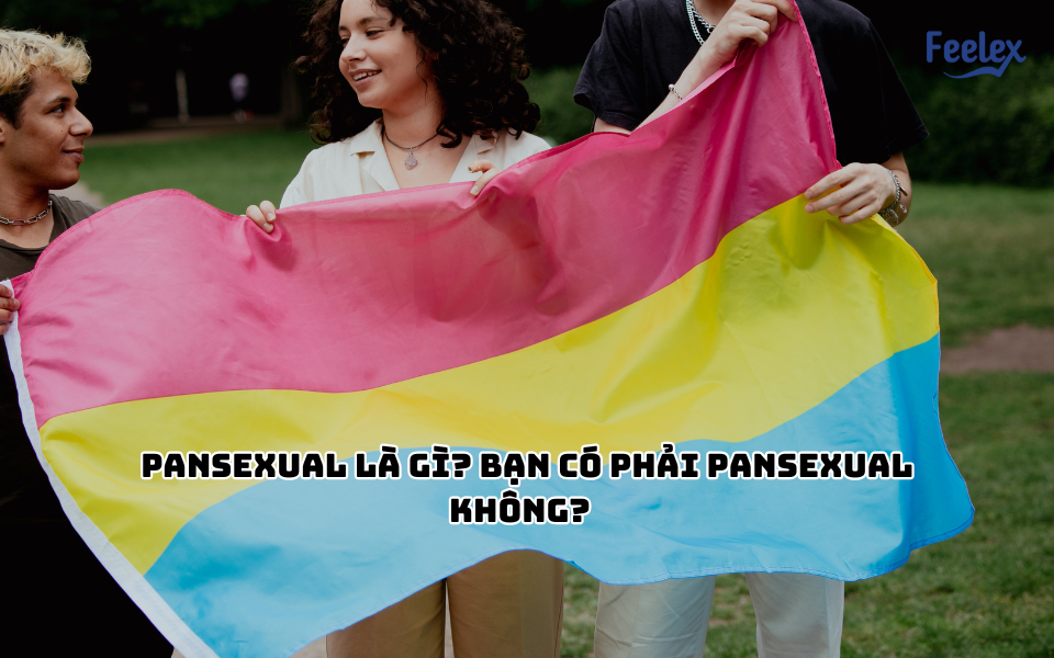 Pansexual là gì