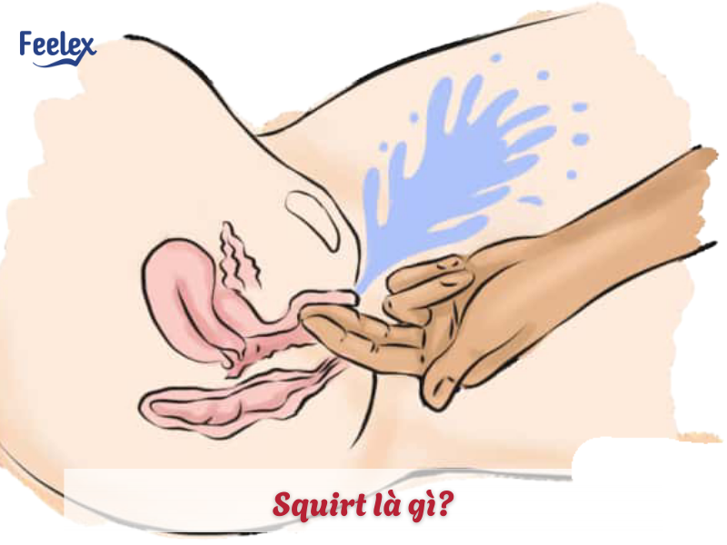 Squirt là gì