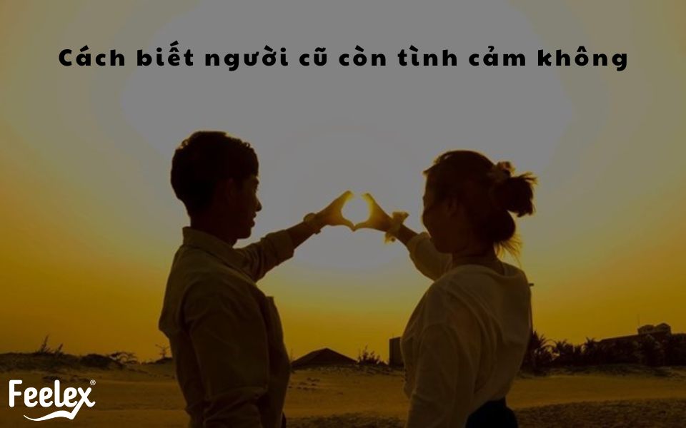 Cách biết người cũ còn tình cảm không