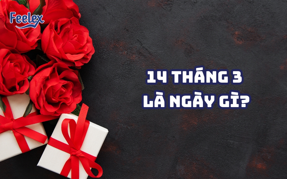 14 tháng 3 là ngày gì