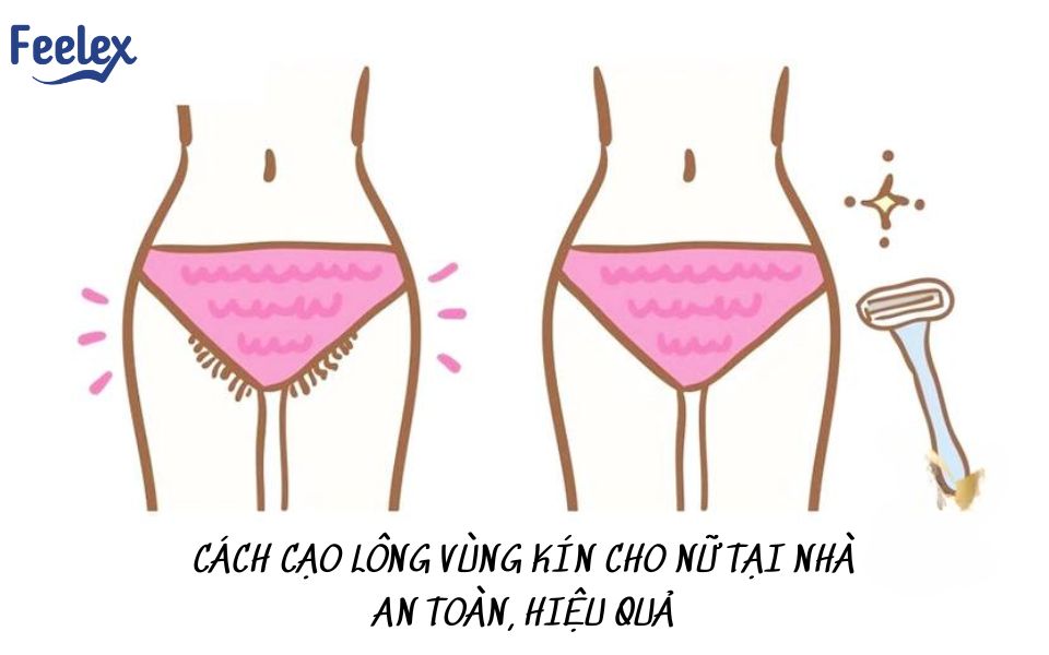 Cách Cạo Lông Vùng Kín Cho Nữ Tại Nhà