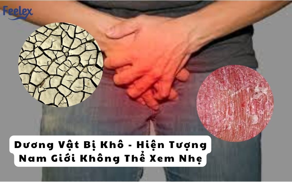 Dương Vật Bị Khô - Hiện Tượng Nam Giới Không Thể Xem Nhẹ