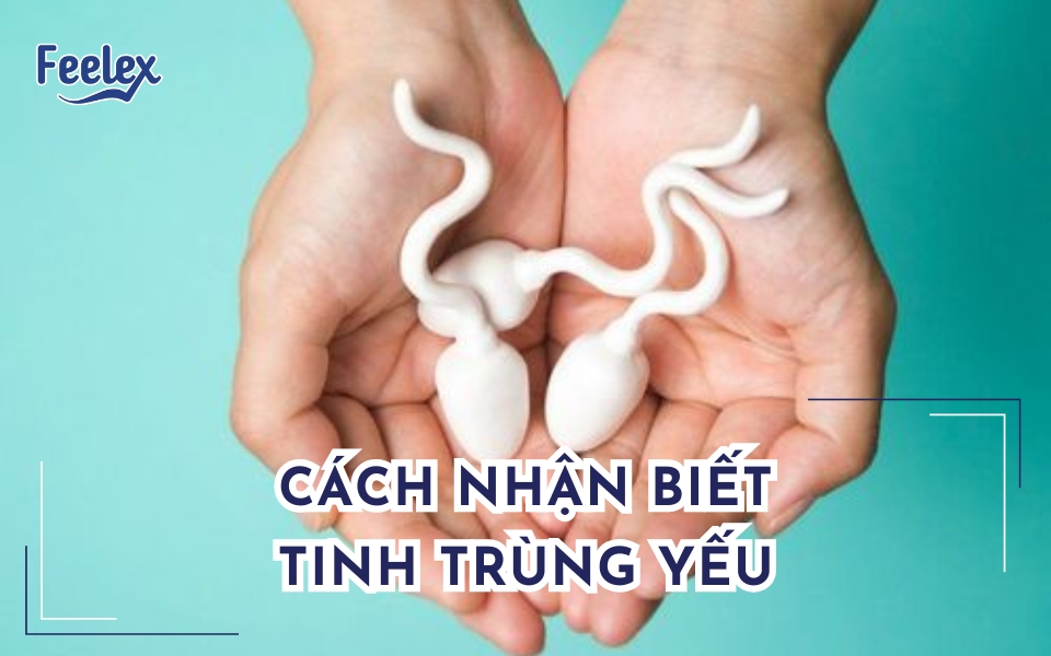 cách nhận biết tinh trùng yếu