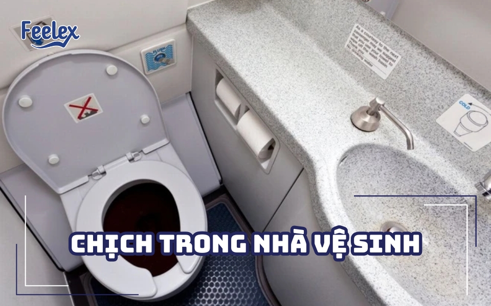 chịch trong nhà vệ sinh