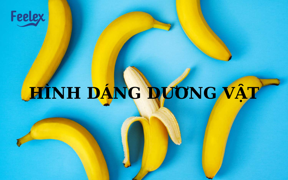 Hình dáng dương vật