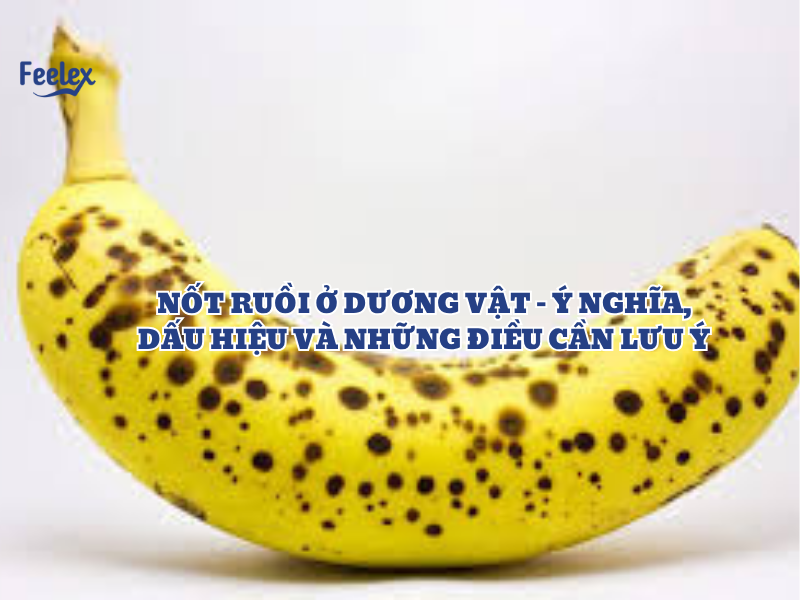 not ruoi o duong vat