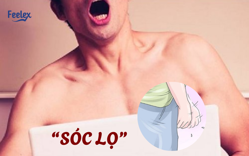 Sóc lọ