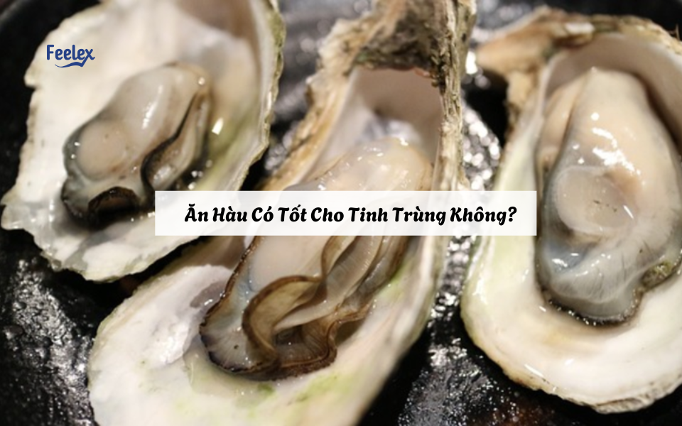 Ăn Hàu Có Tốt Cho Tinh Trùng Không