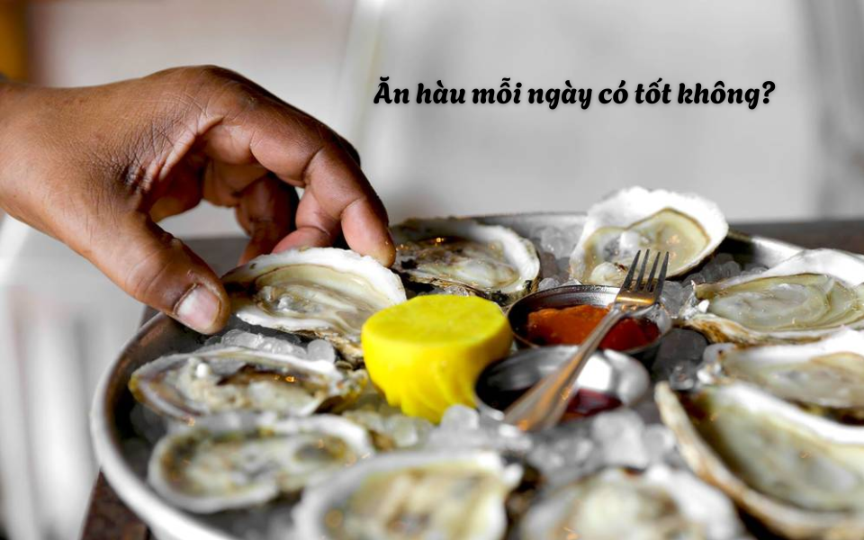 Ăn hàu mỗi ngày có tốt không