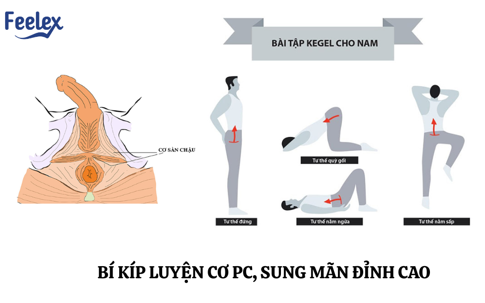 Bài Tập Kegel Cho Nam