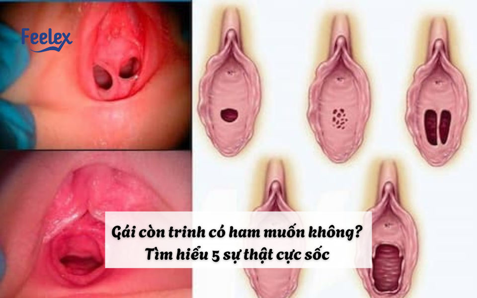 Gái còn trinh có ham muốn không