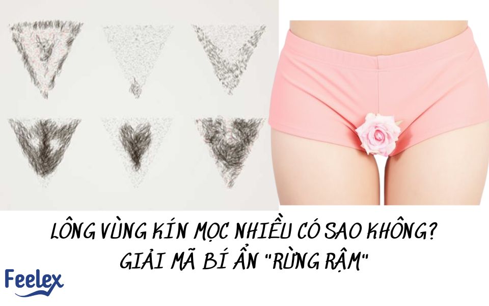 lông vùng kín mọc nhiều có sao không