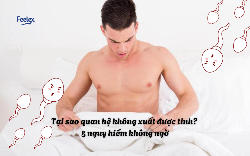 Tại sao quan hệ không xuất được tinh?