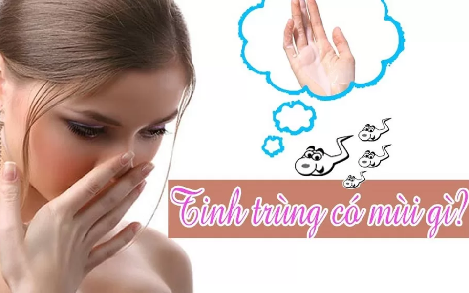 Tinh Trùng Có Vị Gì