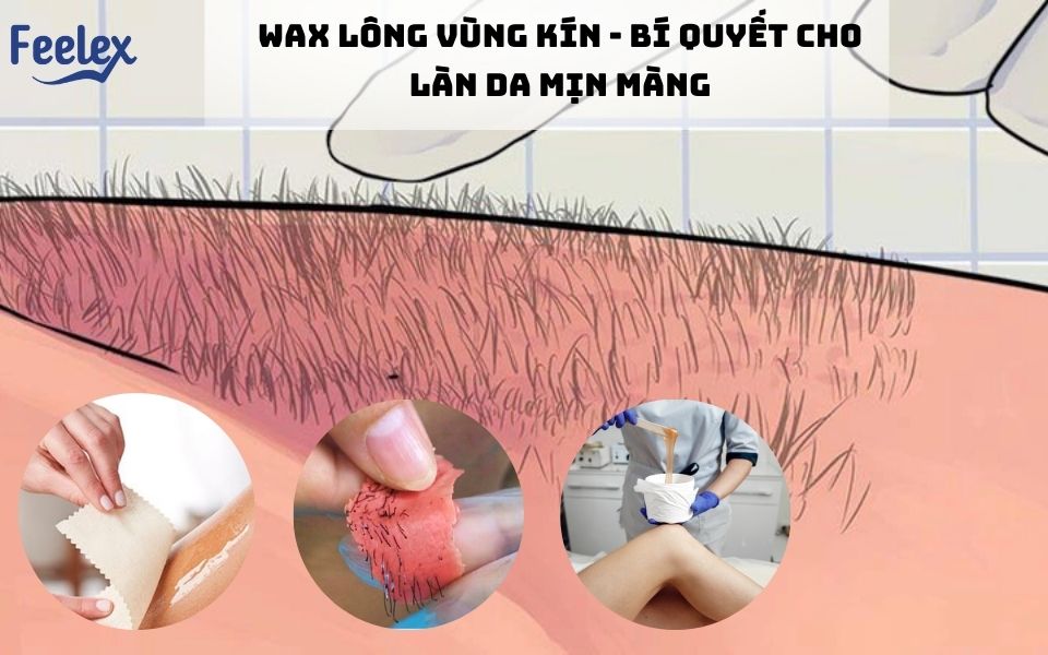 Wax Lông Vùng Kín