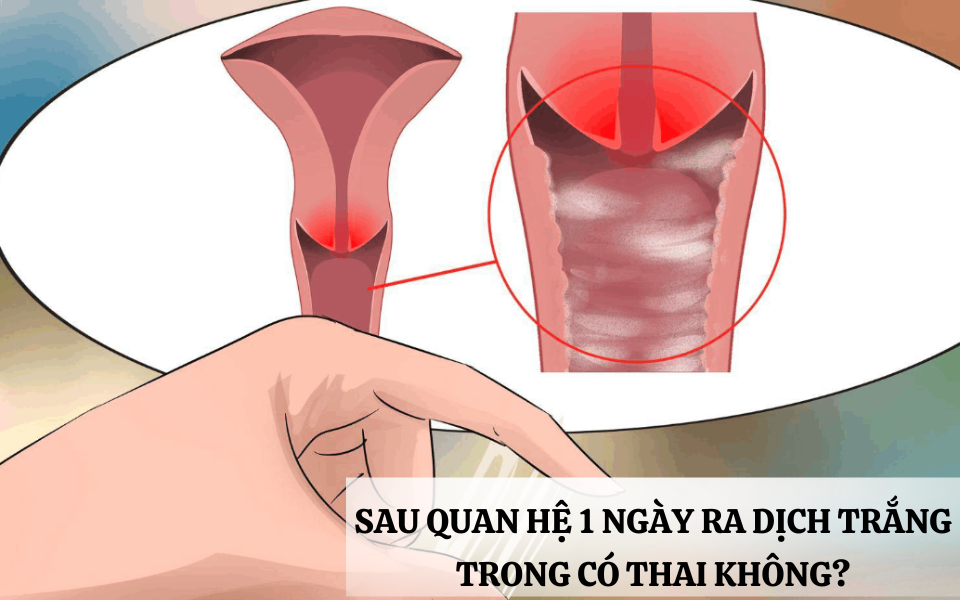 Sau Quan Hệ 1 Ngày Ra Dịch Trắng Trong Có Thai Không