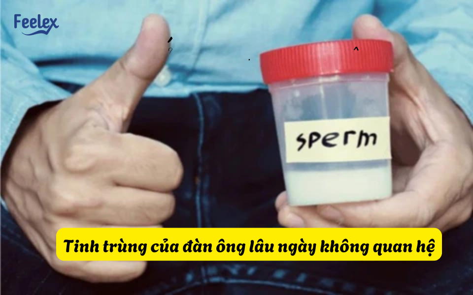 Tinh trùng của đàn ông lâu ngày không quan hệ