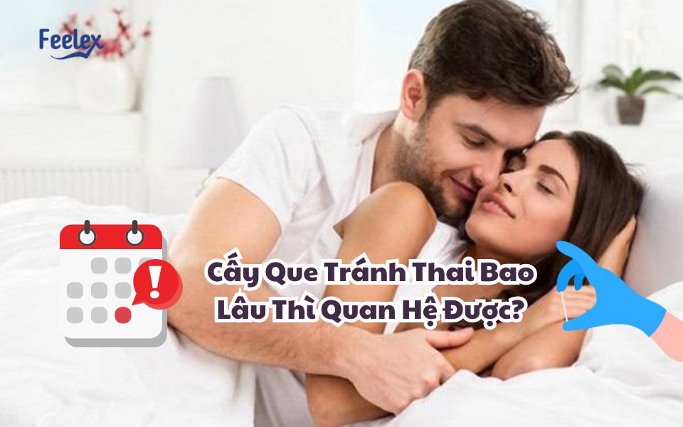 Cay Que Tranh Thai Bao Lau Thi Quan He Duoc