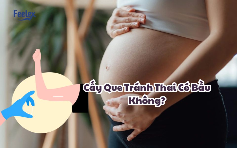 Cay Que Tranh Thai Co Bau Khong