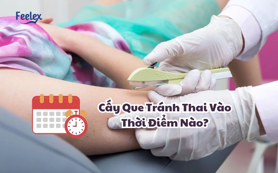 Cay Que Tranh Thai Vao Thoi Diem Nao