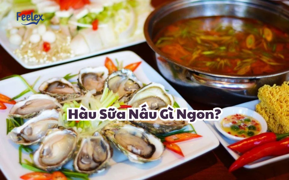 Hau Sua Nau Gi Ngon