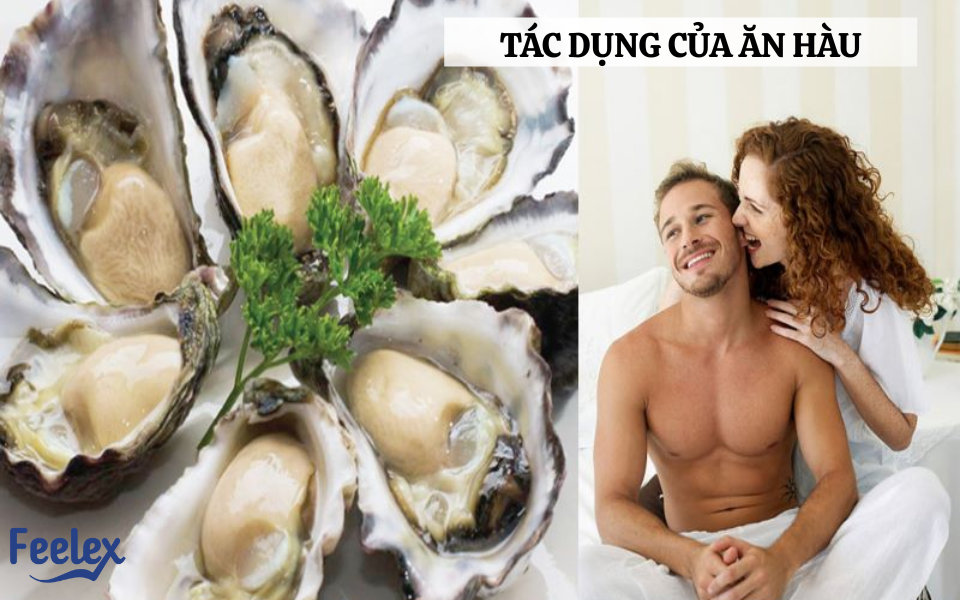 Tác Dụng Của Ăn Hàu