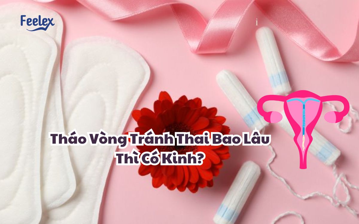 Thao Vong Tranh Thai Bao Lau Thi Co Kinh