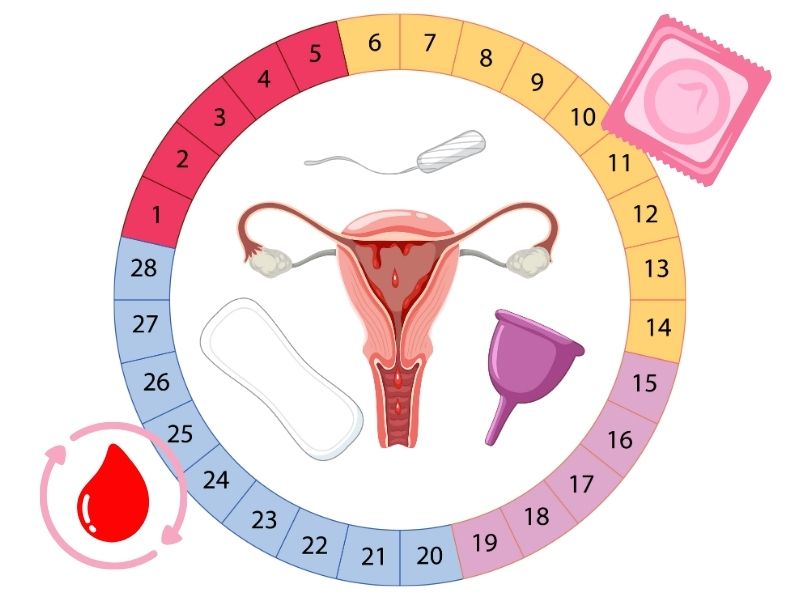 Quan hệ lần đầu có bị chậm kinh không? Lý do và giải đáp Giải đáp quan hệ lần đầu có bị chậm kinh không