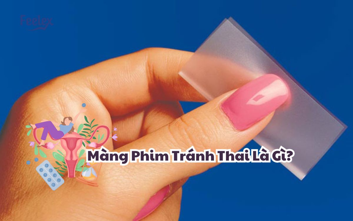 mang phim tranh thai