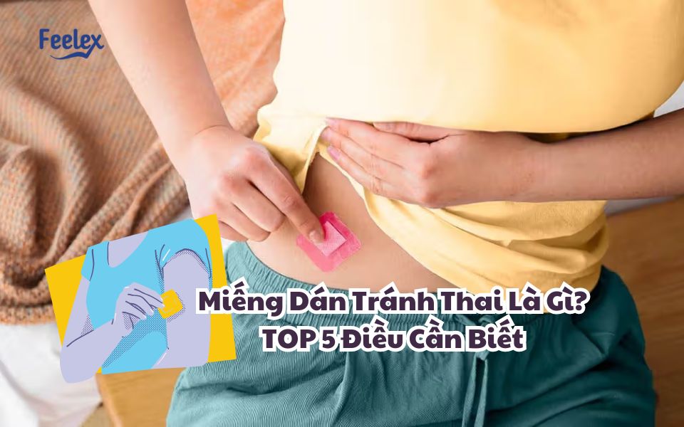 mieng dan tranh thai
