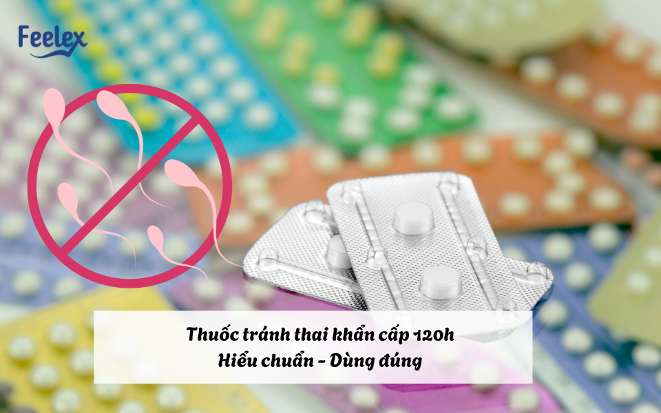 Thuốc tránh thai khẩn cấp 120h