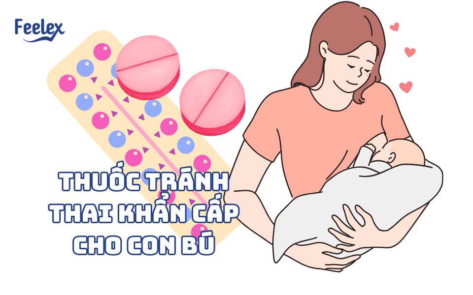 Thuốc tránh thai khẩn cấp cho con bú