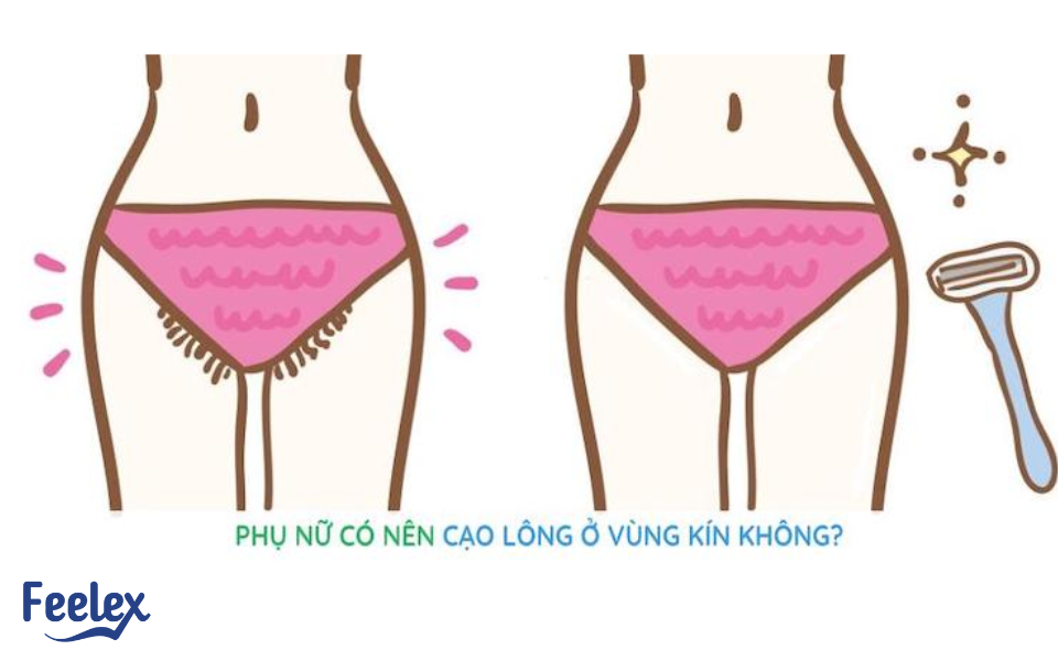 Co Nen Cao Long Vung Kin Khong
