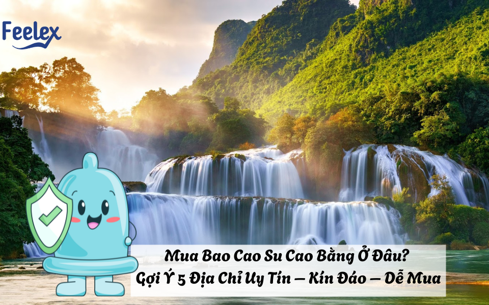 bao cao su cao bang
